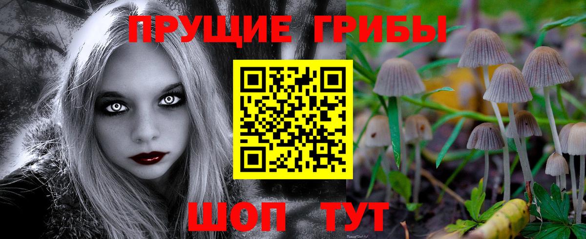 Псилоцибиновые грибы Cubensis Донской